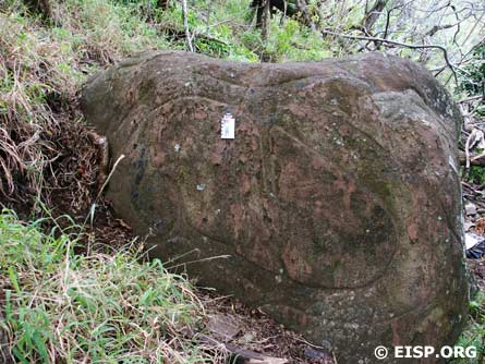 Intertwining bas-relief petroglyphs are found on every face of this large boulder in Rano Kau.