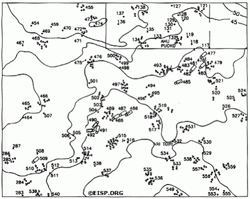 Detail of Quadrant 13 illustrating varying positions and orientations of eleven statues. Base survey map computer drafted and edited with additional data after Cristino F. et al. 1981, by Gordon Hull and Curtiss H. Johnson with Jo Anne Van Tilburg, 1993. From Easter Island Archaeology, Ecology and Culture by Jo Anne Van Tilburg. London: British Museum Press and Smithsonian Institution Press, 1994.