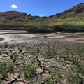 Figura 3. Rano Raraku lago en marzo 2018. Foto por Nico Yancovic Pakarati.