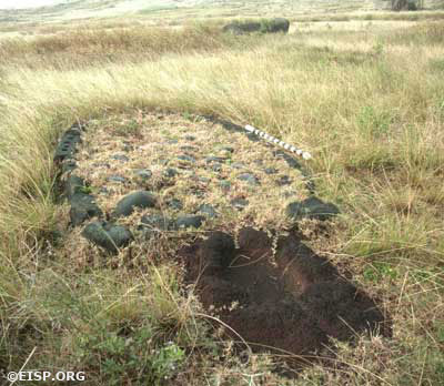 Our field crew found a very unusual oval, paved feature 32-023-004 with a partially buried oval red scoria basin incorporated. Subsequent excavation by the University of Chile revealed an extended burial dated to the 1600s. Rapa Nui (Easter Island) Photo taken in 1989 by David C. Ochsner, © EISP/JVT.