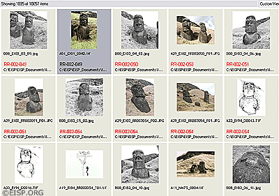 Screen capture of thumbnails from the EISP digital image catalog, currently containing over 30,000 items.