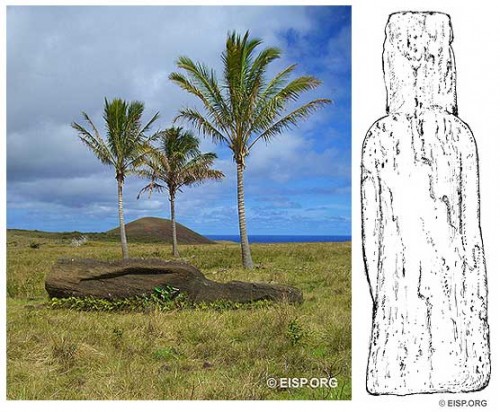 Moai RR-002-066 on the exterior slopes of Rano Raraku, as photographed in 1983 and 2006, also sketched for measurements in 1994 and surveying in 2006. Photo: D. C. Ocshner and J. Van Tilburg © JVT. Drawings: Cristián Arévalo Pakarati © JVT.