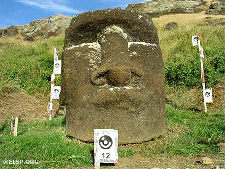 A moai head in the process of being 3-dimensionally recorded via photogrammetry. © EISP 2003.