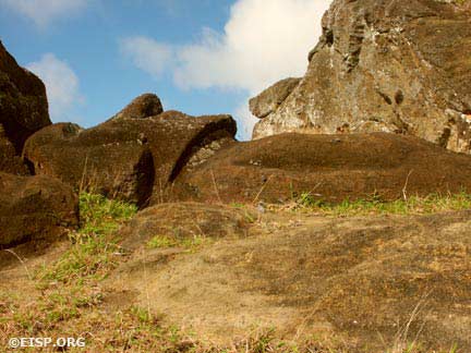 Moai 111 in Quarry D-7. © EISP 2003.