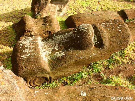 A large moai in the quarry. © EISP 2003.