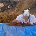 Melisanda Pakarati collecting samples. © EISP 2011