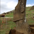 Left profile view of Moai 157 revealing staining of the stone surface caused, in part, by soil moisture content.