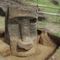 March-April 2010: EISP's excavation of a moai in Rano Raraku Quarry interior. This moai was nicknamed "Papa" by Katherine Routledge in 1914. Quarry bedrock is visible in one of the excavation squares. The color variation on the statue's stone surface reflects previous soil levels.