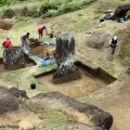 Overview of excavation during Season I. © Easter Island Statue Project