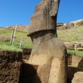 Left side of statue RR-001-157 showing carved arm. © Easter Island Statue Project