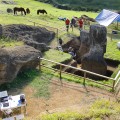 Overview of EISP excavation.