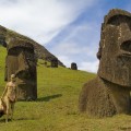 Figure 3 Vaiheri Tuki Haoa in body paint and traditional barkcloth. © Easter Island Statue Project